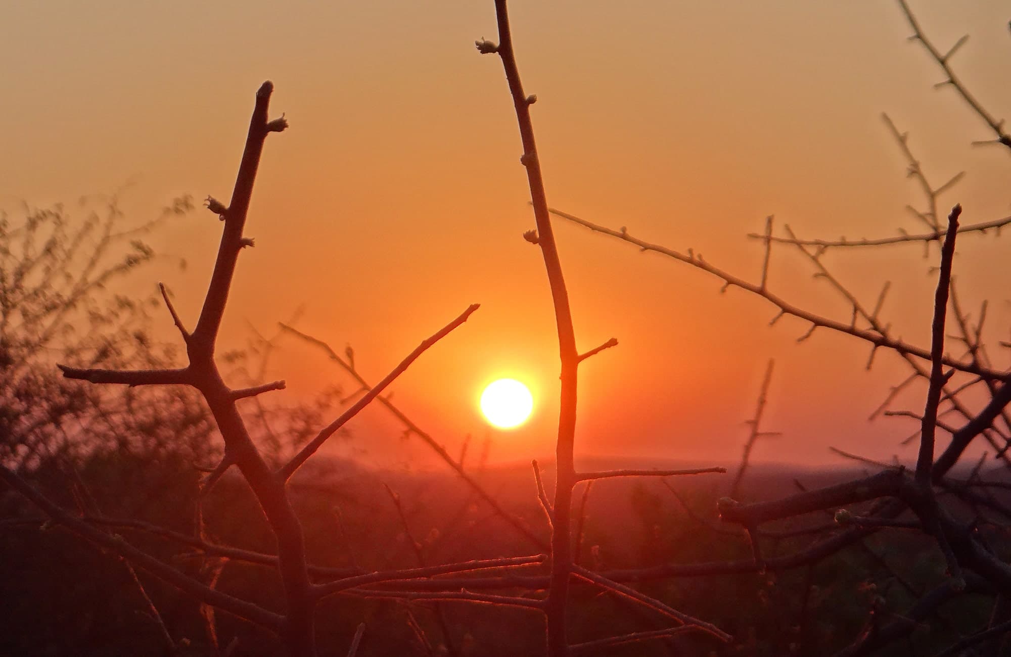 Etosha Experience  (12)